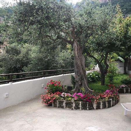 La Casa Del Bolasso Apartment Positano Ngoại thất bức ảnh